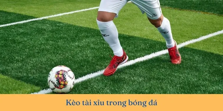 Tìm Hiểu Cách Chơi Kèo Tài Xỉu Bóng Đá: Cơ Hội Thắng Lớn 2 Tìm Hiểu Cách Chơi Kèo Tài Xỉu Bóng Đá: Cơ Hội Thắng Lớn