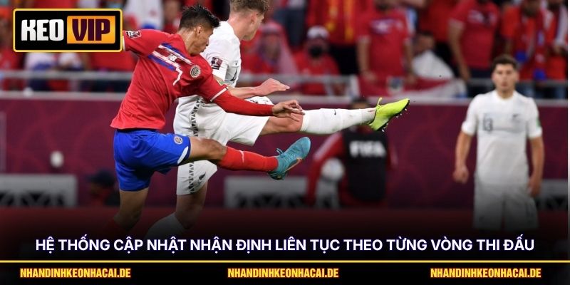 Hệ thống cập nhật nhận định liên tục theo từng vòng thi đấu