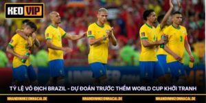 Tỷ Lệ Vô Địch Brazil - Dự Đoán Trước Thềm World Cup Khởi Tranh