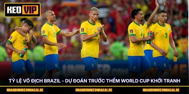 Tỷ Lệ Vô Địch Brazil - Dự Đoán Trước Thềm World Cup Khởi Tranh 1 Tỷ Lệ Vô Địch Brazil - Dự Đoán Trước Thềm World Cup Khởi Tranh