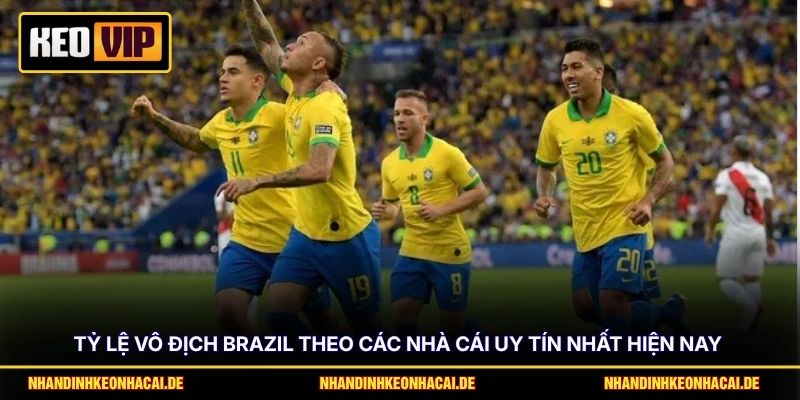Tỷ Lệ Vô Địch Brazil - Dự Đoán Trước Thềm World Cup Khởi Tranh 2 Tỷ lệ vô địch Brazil theo các nhà cái uy tín nhất hiện nay